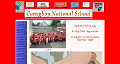 Desktop Screenshot of carrigboyns.ie