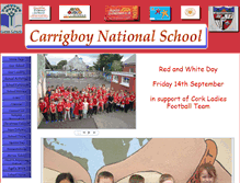 Tablet Screenshot of carrigboyns.ie